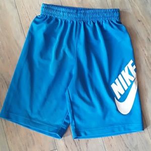 Nike Skateboarding Shorts